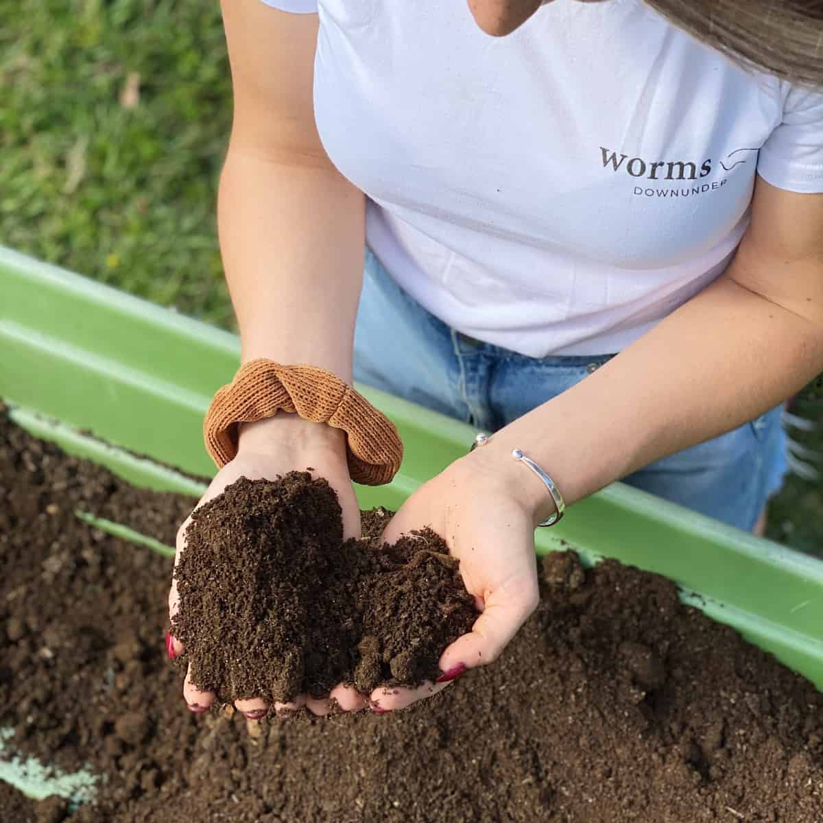 Rich soil being held in open hands that has been applied with worm brew