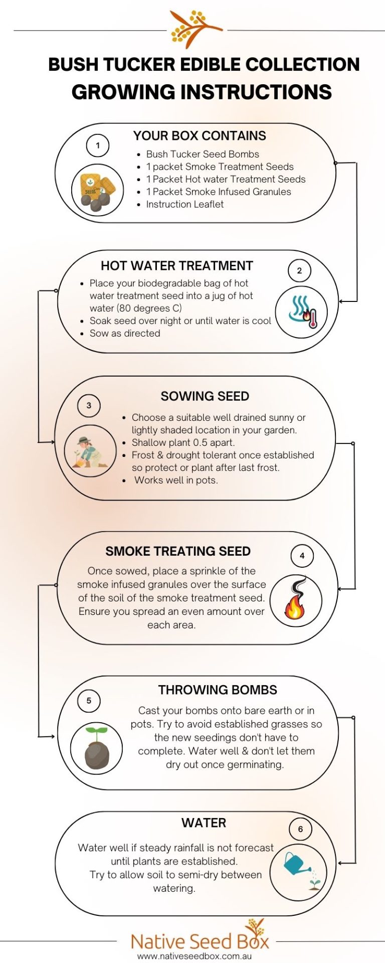 Native Seed Box Bush Tucker Edible Collection Growing Instructions card - step-by-step guide for using bush tucker seed bombs to create a sustainable garden, promoting native plant growth and biodiversity with edible plants.