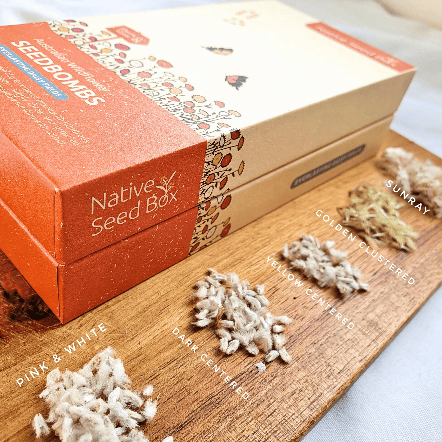 Native Seed Box packaging for the Everlasting Daisy Fields Seedbombs - ideal for eco-friendly home gardening, promoting sustainability and biodiversity with native Australian wildflowers.