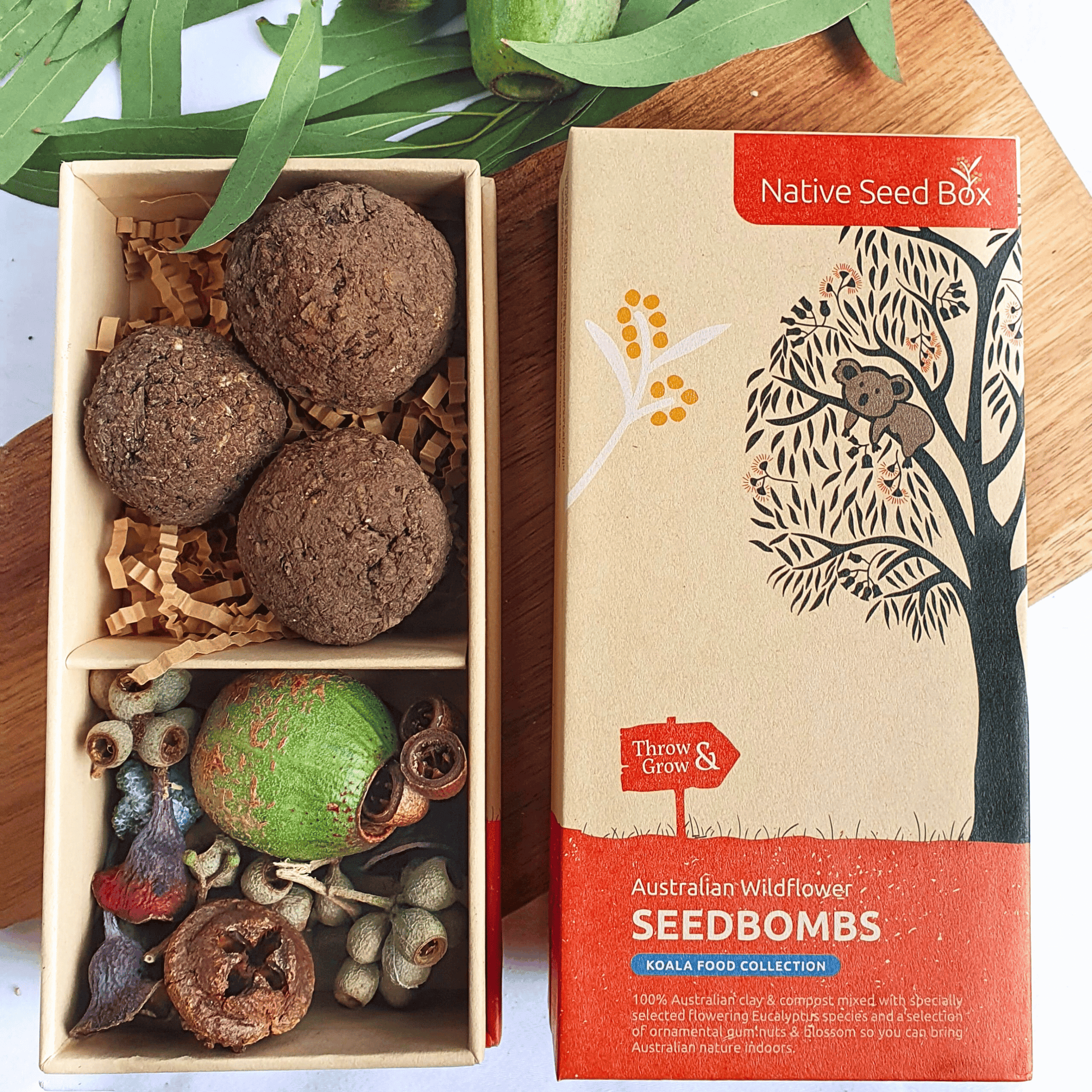 Contents of Native Seed Box Koala Food Collection including eucalyptus seed bombs and ornamental gum nuts - perfect for creating a sustainable garden, promoting biodiversity, and supporting koala habitats with native plants