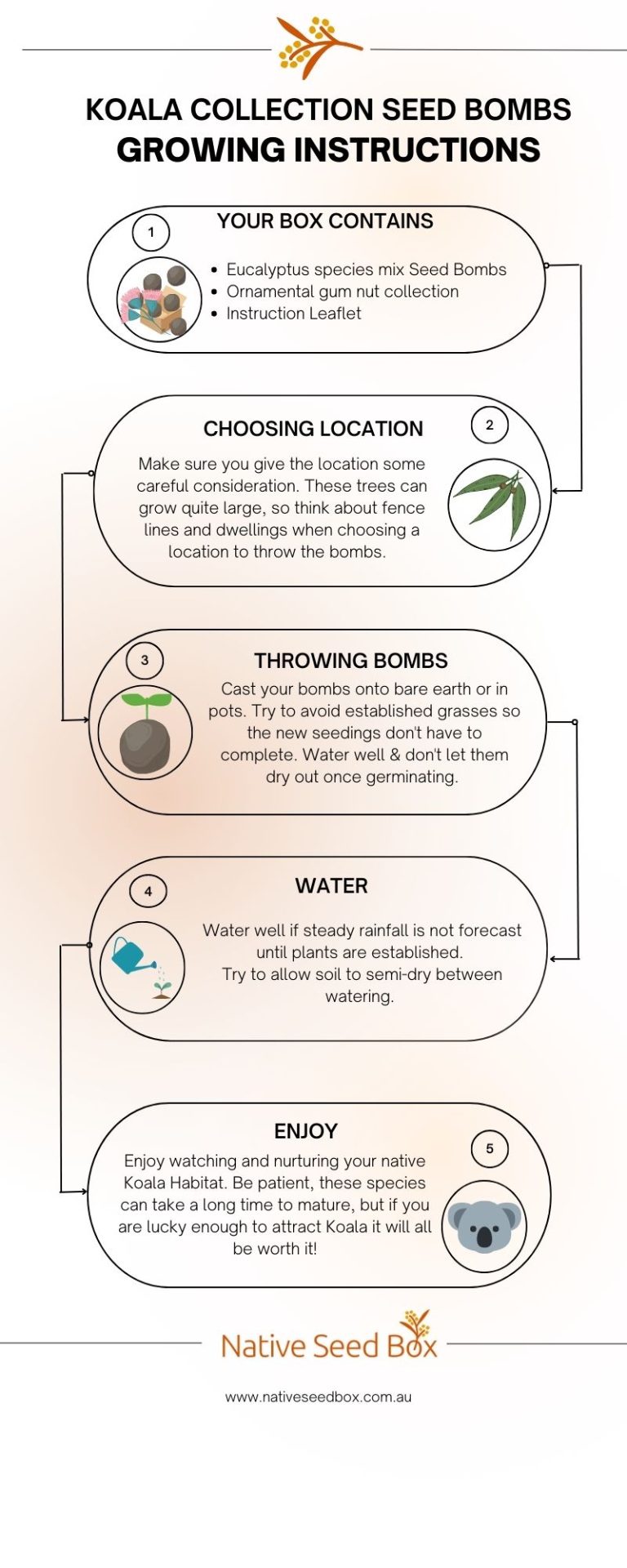 Native Seed Box Koala Collection Seed Bombs Growing Instructions card - step-by-step guide for using eucalyptus seed bombs to create a sustainable garden, promoting native plant growth and biodiversity, and supporting koala habitats