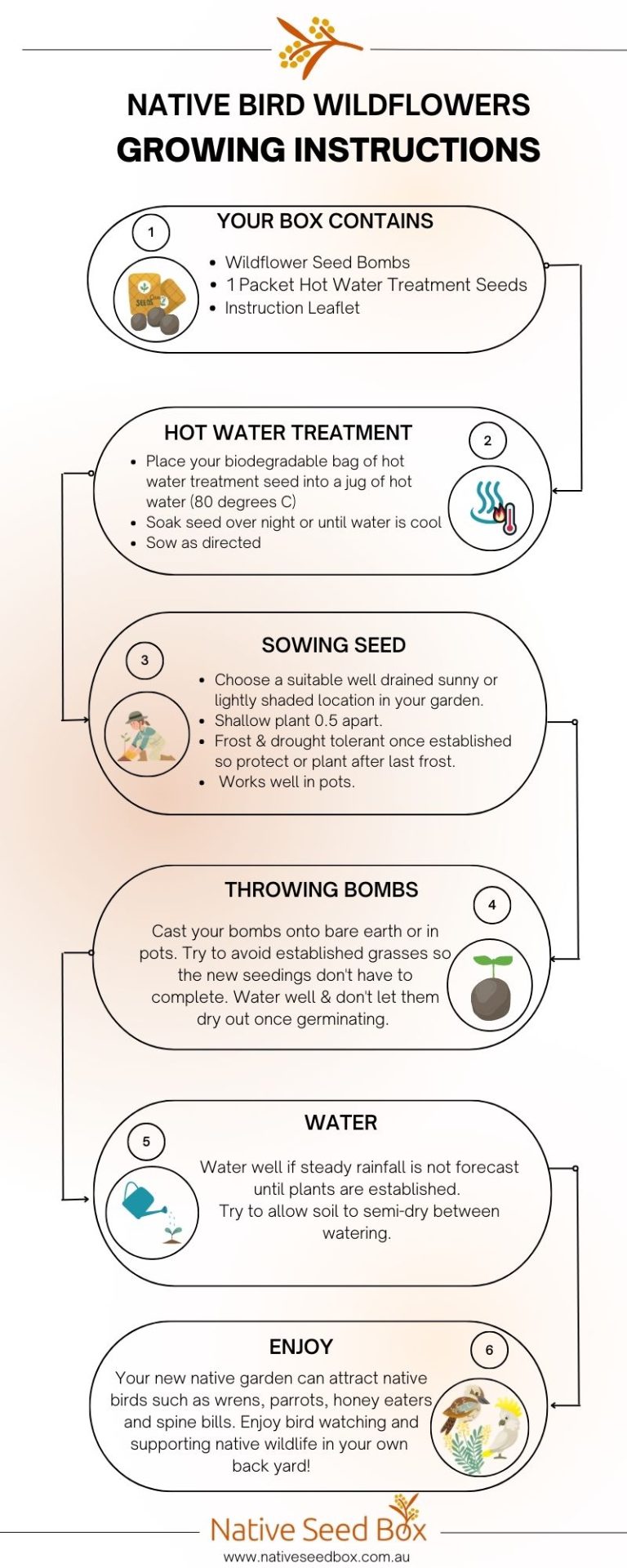 Native Seed Box Native Bird Wildflowers Growing Instructions card - step-by-step guide for using wildflower seed bombs to create a sustainable garden, promoting biodiversity and attracting native birds.