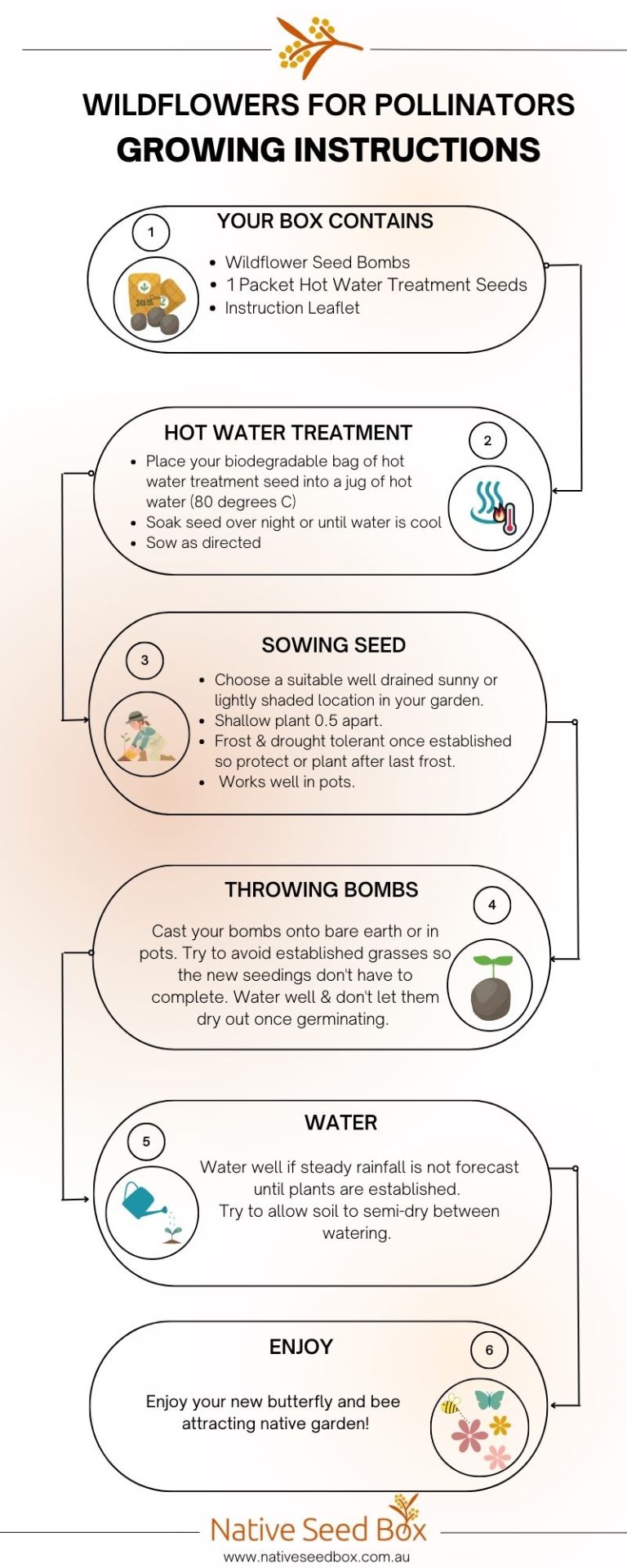 Native Seed Box Wildflowers for Pollinators Growing Instructions card - step-by-step guide for using wildflower seed bombs to create a sustainable and biodiverse garden, promoting native plant growth and attracting butterflies and bees.