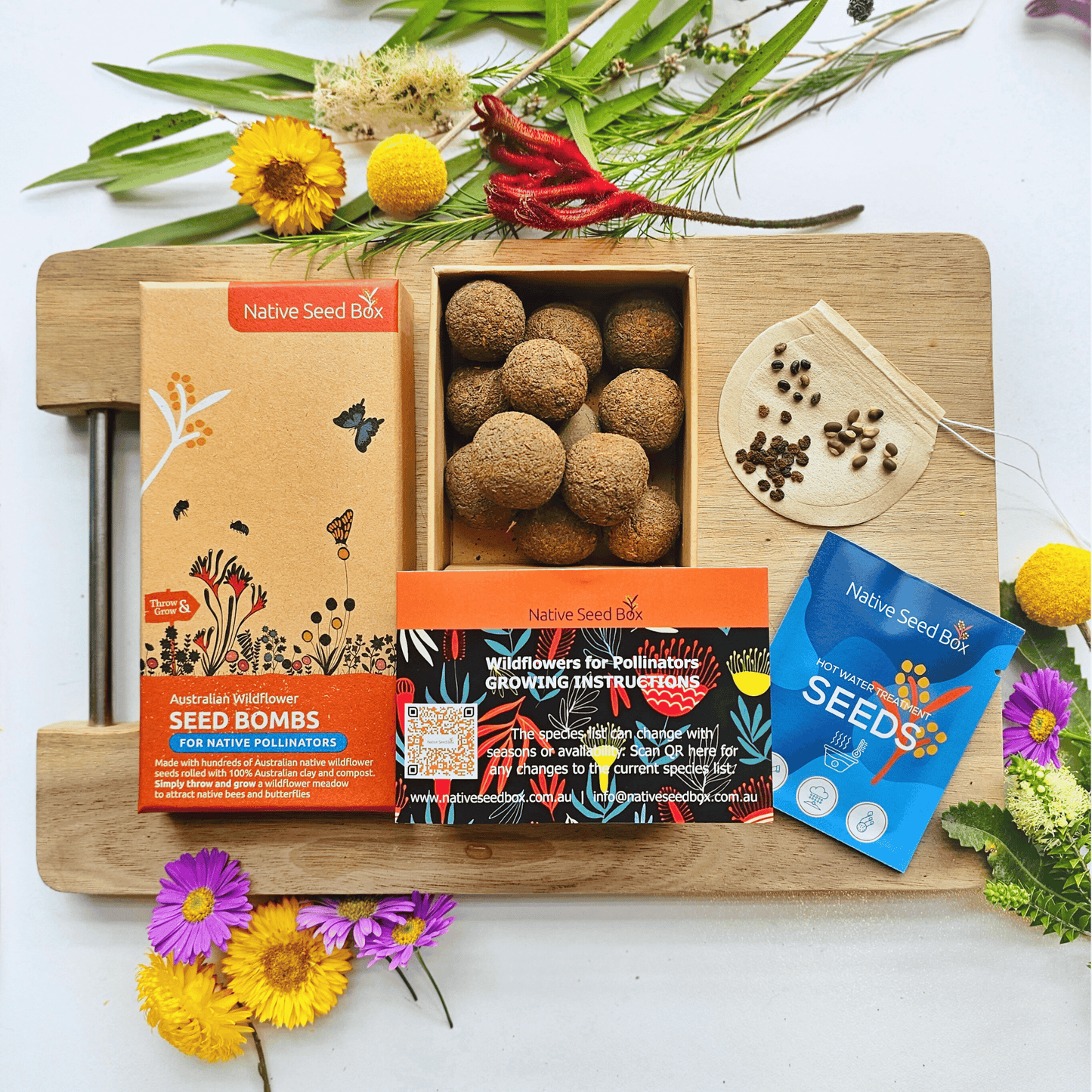 Open Native Seed Box showing Australian Wildflower Seedbombs, seeds, and growing instructions - perfect for eco-friendly and regenerative gardening, promoting native plant growth and garden biodiversity.