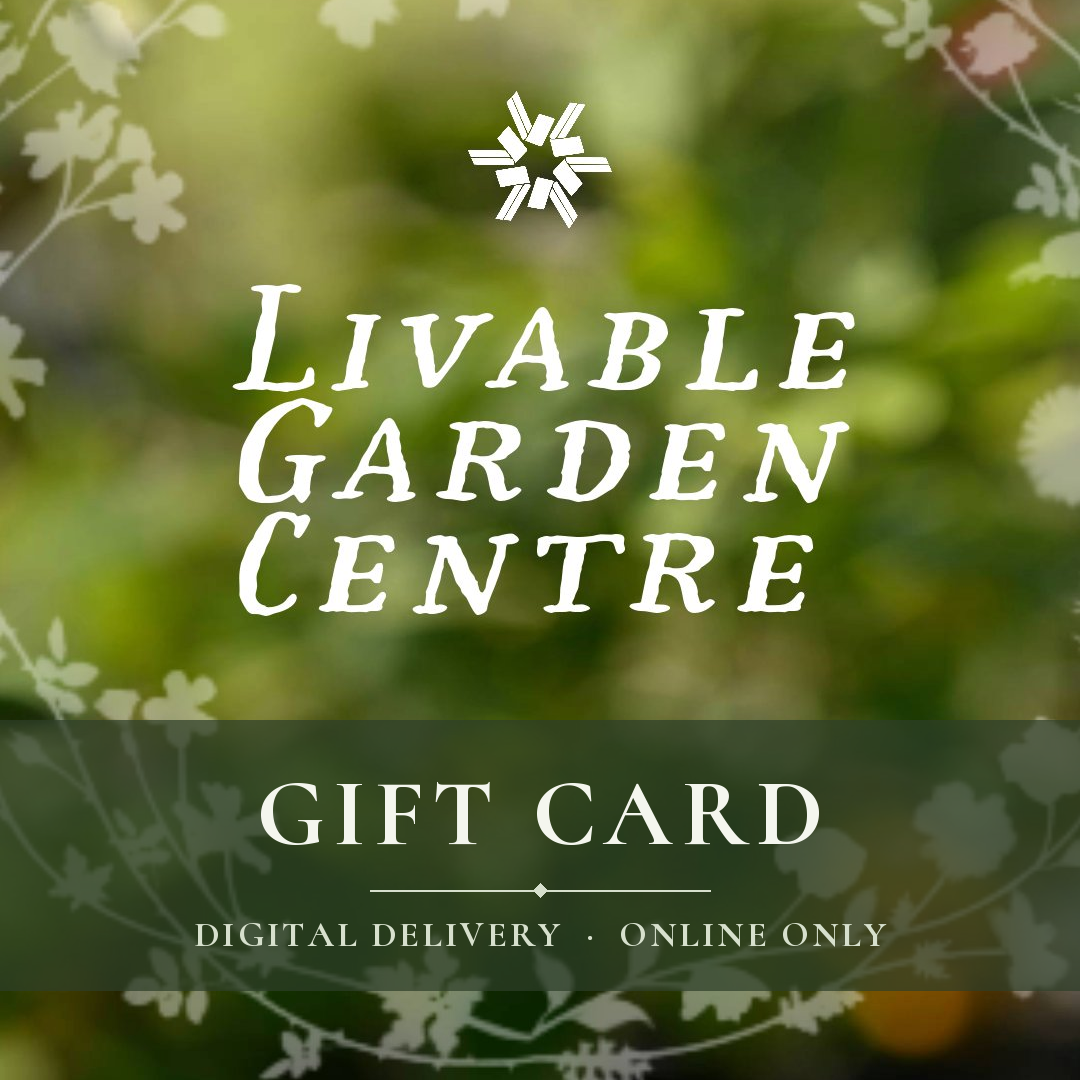 A lush green floral-themed image with "Livable Garden Centre Gift Card" in crisp white text and a delicate flower logo above. A vibrant green box reads "Plant Gift Card." At the bottom: "Digital Delivery · Online Only." The softly blurred background features thriving plants, highlighting their appeal for wildlife gardens and unique natural beauty, enhanced by gentle, inviting lights.