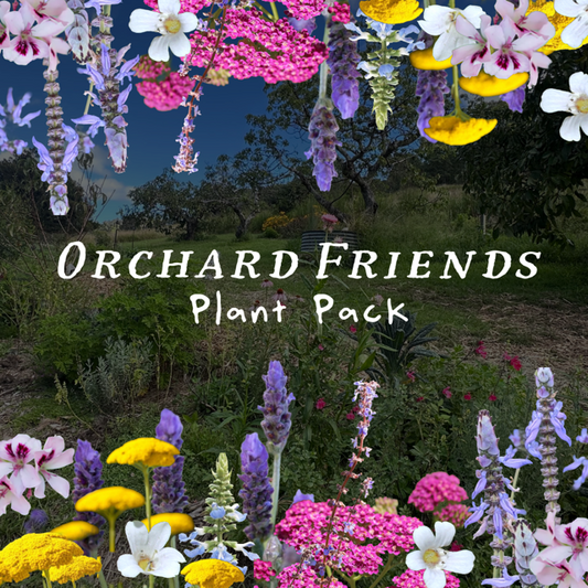 A lush orchard with green grass and scattered trees is framed by vibrant pink, purple, yellow, and white flowers. In the center, “Orchard Friends Plant Pack” invites you to attract birds and pollinators with layered blooms perfect for wildlife gardens.