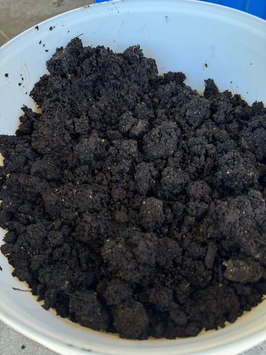 A close-up of a white container brimming with rich, crumbly worm castings—Microbe-Rich Organic Soil Booster. Perfect for wildlife gardens, its natural nutrients enhance vibrant plant growth and support pollinators for thriving outdoor spaces.