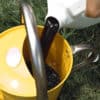 Pouring worm juice into watering can