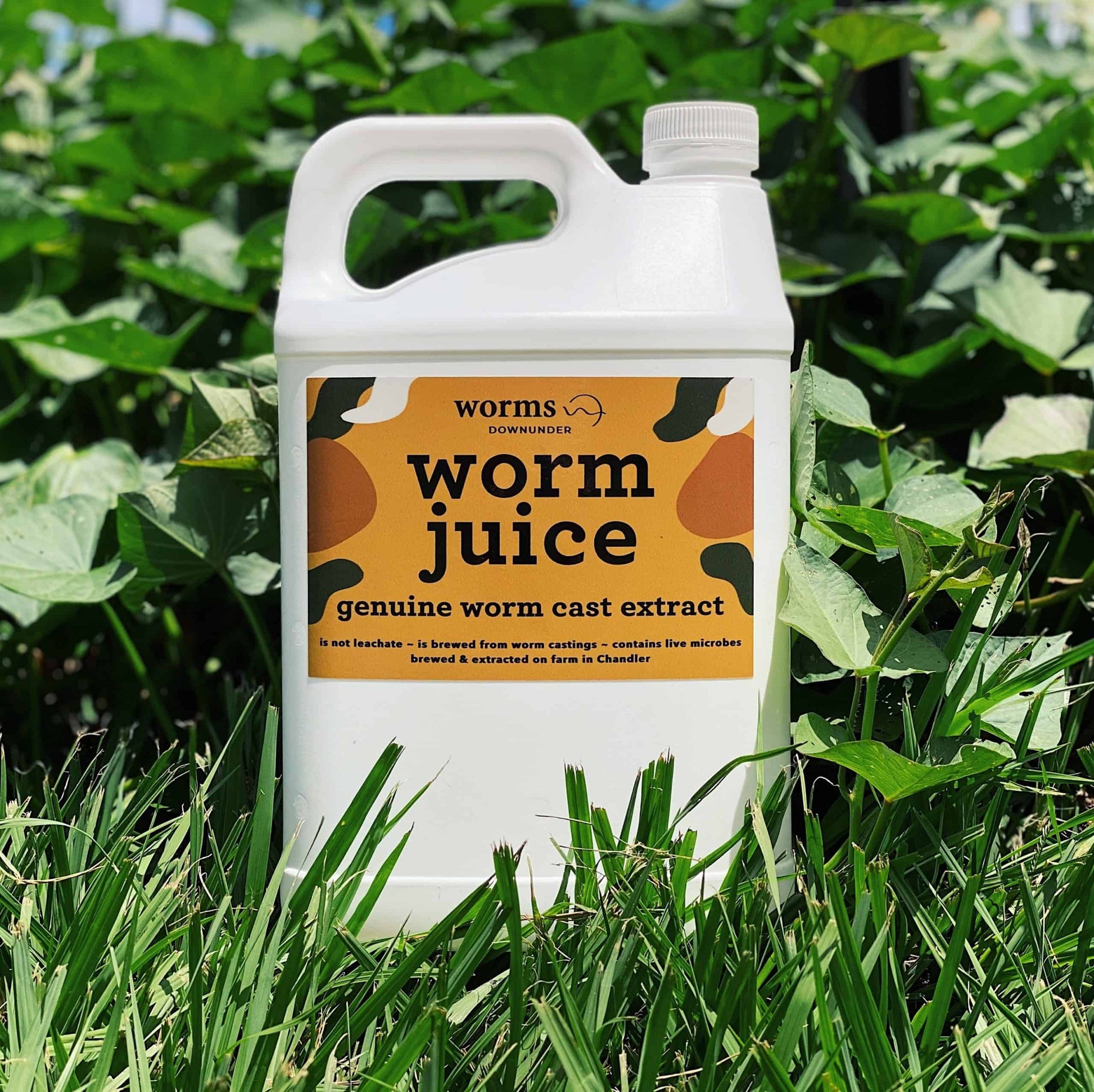White bottle of worm juice 5L